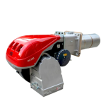 Riello RS 190/E, RS 250/E: Manuel d'utilisation + IA