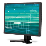 NEC MultiSync&reg; LCD2190UXp Manuel utilisateur