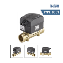 Burkert 8081 Flowmeter Manuel utilisateur | Fixfr