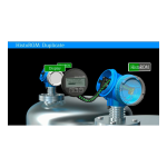 Endres+Hauser Separatversion/Remote version Levelflex FMP 232 /332 Mode d'emploi