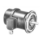 Baumer TDP0,2 LT-4 B10 55 Fiche technique : IA et PDF