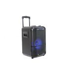 Denver TSP-306 8&rdquo; Bluetooth trolley speaker Manuel utilisateur