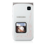 Manuel d'utilisation Samsung E420 : AI Chat &amp; PDF