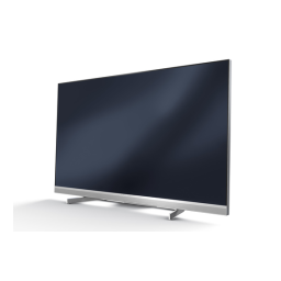 Grundig Fine Arts 55 FLX 9491 SL Short Manuel du propriétaire | Fixfr