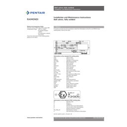 Raimondi Ball Valves F5500/5700 IOM Manuel du propriétaire | Fixfr