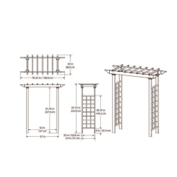 Carolina Arbor