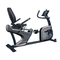 BRX RECUMBENT 3000