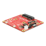 Delock 62648 Convertisseur USB mSATA + Chat IA