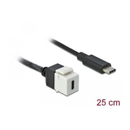 Delock 86399 Module Keystone USB + AI Chat & PDF | Fixfr