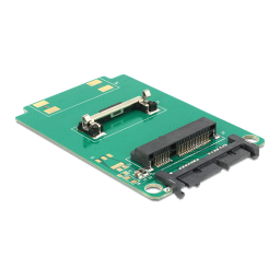 Delock 62519 : Convertisseur mSATA | AI Chat & PDF | Fixfr