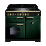 Falcon Classic Deluxe/Professional Deluxe 100 Mixte: Aide IA et PDF