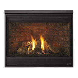 Novus nXt Gas Fireplace