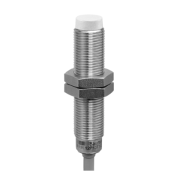 Baumer IFRR 12P13T1/PL-9 Inductive proximity switch Fiche technique | Fixfr