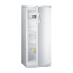 Gorenje F6245W Manuel utilisateur