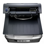 Epson Perfection V500 Office Manuel utilisateur