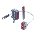 Baumer O300H RL-GW1J.PVNV: AI Chat &amp; PDF Access