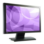 BenQ FP202W V2 Manuel utilisateur