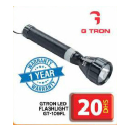 Globaltronics GT-TL-LED Twig Lights Manuel utilisateur | Fixfr