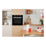 Indesit IFW 6530 BL Manuel utilisateur