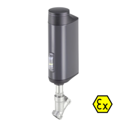 Burkert 3320 Electromotive 2/2 way angle seat valve Manuel utilisateur | Fixfr