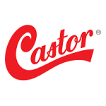 CASTOR C 141 TT Manuel d'Utilisateur | AI Chat &amp; PDF