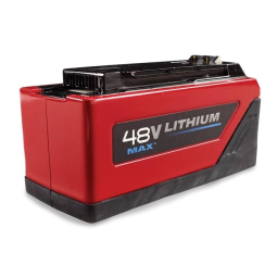 48V Li-Ion Standard Battery Pack