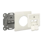 DeLOCK 86195 Modular Wall Outlet flush mount 2 Port Cat.6A LSA Fiche technique