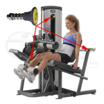 Cybex International 13260 LEG EXT-LEG CURL Manuel utilisateur