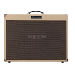Roland Blues Cube: Mode d'emploi + Chat IA