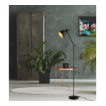 Eglo 203448A Priddy 2 54.00 in. Black Floor Lamp Mode d'emploi