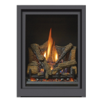 Fireplace Xtrordinair ProBuilder 24 CleanFace GSB Fireplace 2019 Guide d'installation