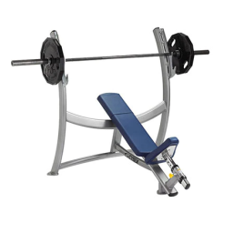Cybex 16050 Manuel du propriétaire : Chat IA & PDF | Fixfr