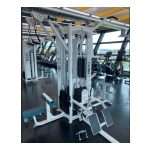 Cybex International JUNGLE GYM 17150 DIP CHIN AND TOWER Manuel utilisateur