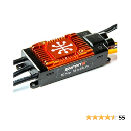 Spektrum Avian 100 Amp Brushless Smart ESC 3S-6S Manuel utilisateur | Fixfr