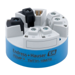 Endres+Hauser iTEMP TMT31 Manuel utilisateur