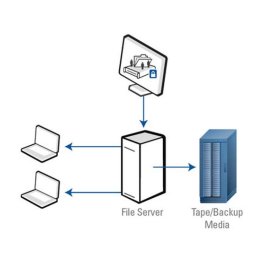 NetShare v10.0 Windows