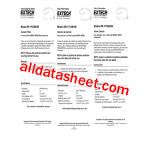 BR-17CAM Sonde Cam&eacute;ra EXTECH | Chat IA &amp; PDF