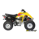 Manuel ADLY 150 Thunderbike/Utilitaire : AI Chat &amp; PDF