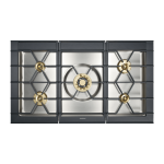 Gaggenau CG492110F Manuel utilisateur