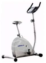 Weslo WLEVEL1176 405 ELLIPTICAL Manuel utilisateur | Fixfr