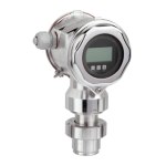 Endres+Hauser Deltapilot S FMB70 Manuel utilisateur