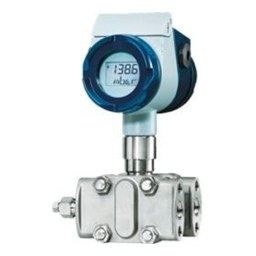 JUMO dTRANS p02 DELTA Pressure Transmitter Fiche technique | Fixfr