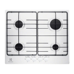 Electrolux EGG6242 Notice d'Utilisation + AI Chat