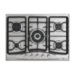 FRAMTID HGA5K Plaque de cuisson &agrave; gaz + IA Chat &amp; PDF