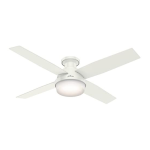 Hunter Fan 27776 Ceiling Fan Manuel utilisateur