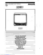 Philips 20GR1250, 21GR1251 : Mode d'emploi | AI Chat & PDF | Fixfr