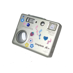 Minolta DIMAGE X31 Manuel utilisateur | Fixfr