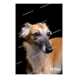 IBP SILKEN Manuel utilisateur | Fixfr