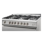 Ariston A9GG1FC (X)/EX.1 Cooker Manuel utilisateur