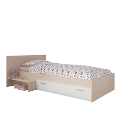 Parisot PA2498L2TM Manuel du propriétaire | Fixfr